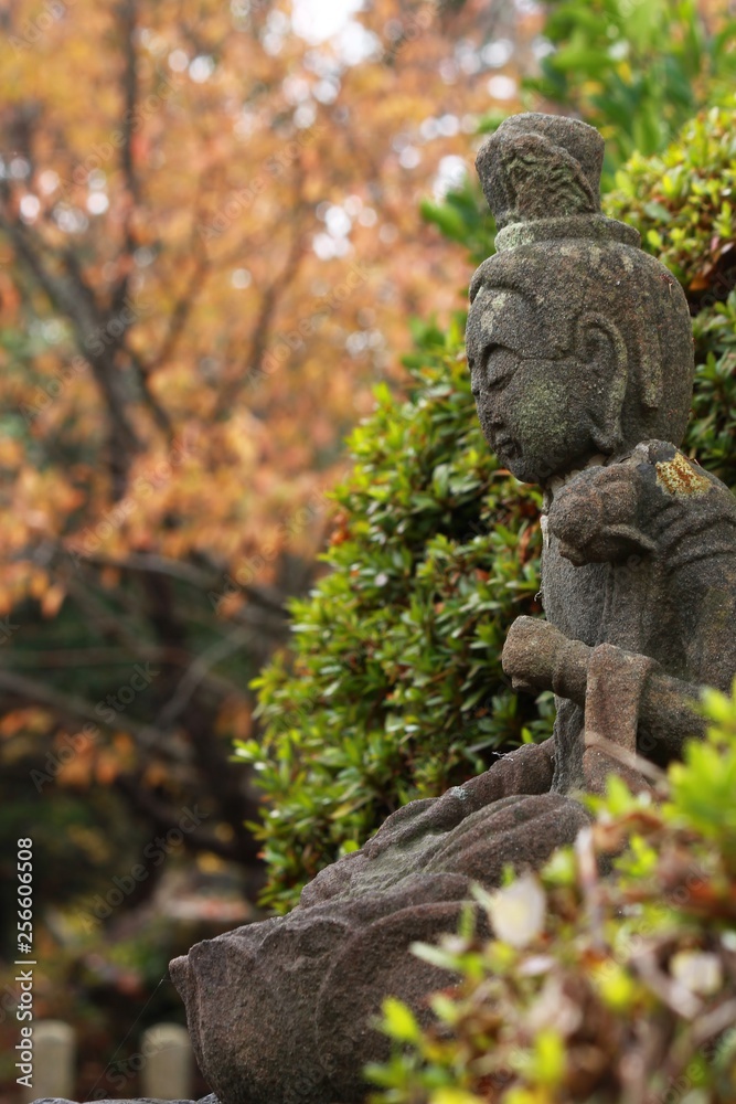 植物に囲まれた天寧寺の観音菩薩像