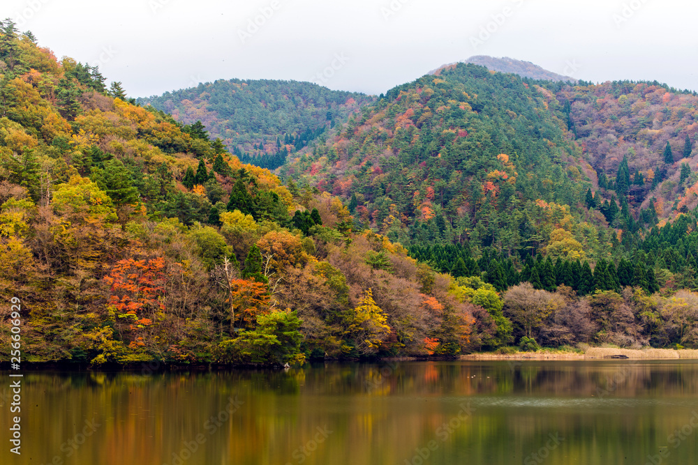 紅葉と湖面 紅葉と湖面