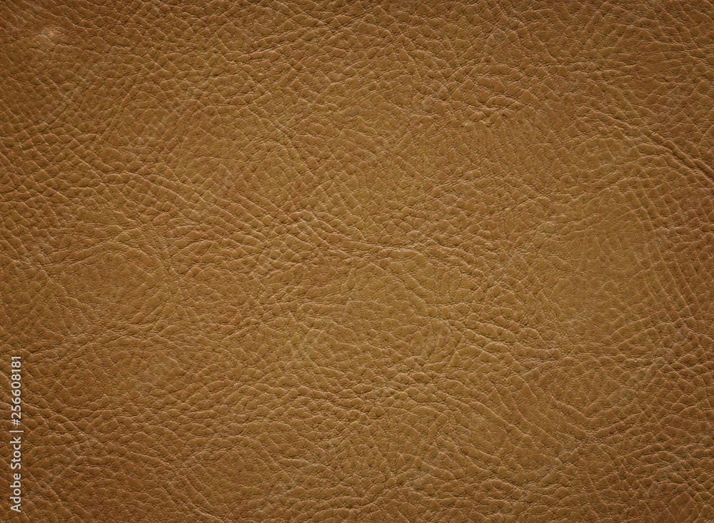 An image of a nice leather background. Cowhide texture. An image of a nice leather background. Cowhide texture.