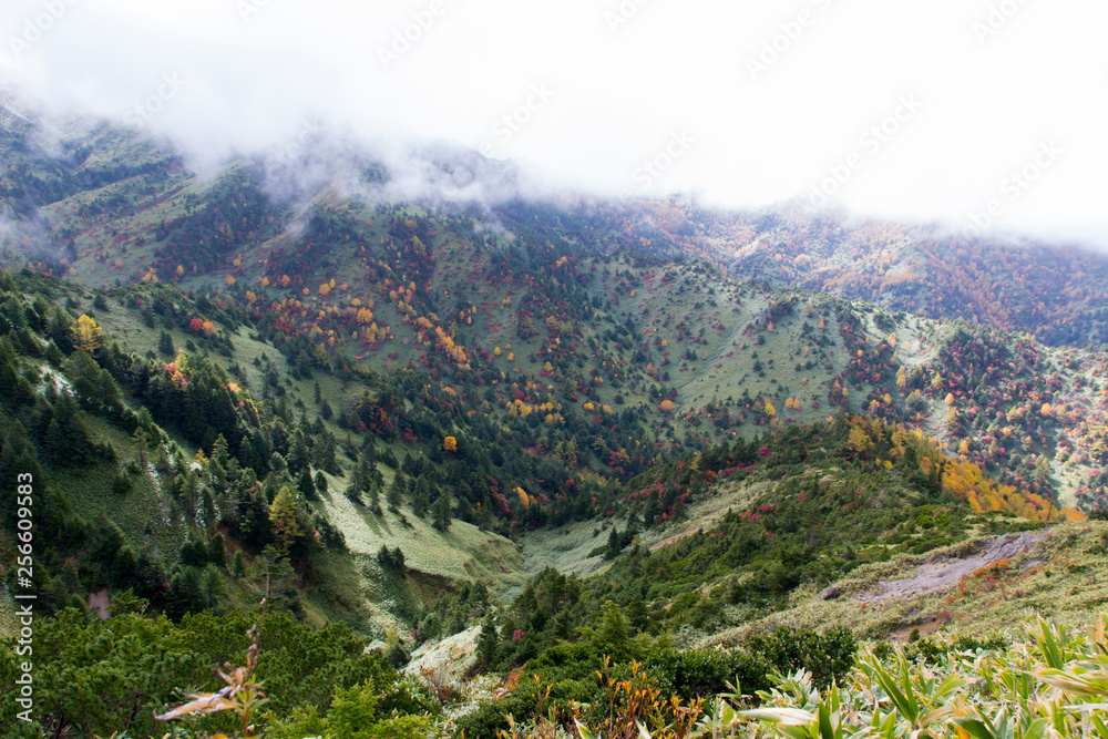 Naklejka premium 志賀高原の紅葉／長野県山ノ内町
