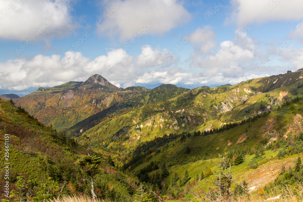 Naklejka premium 志賀高原の紅葉／長野県山ノ内町
