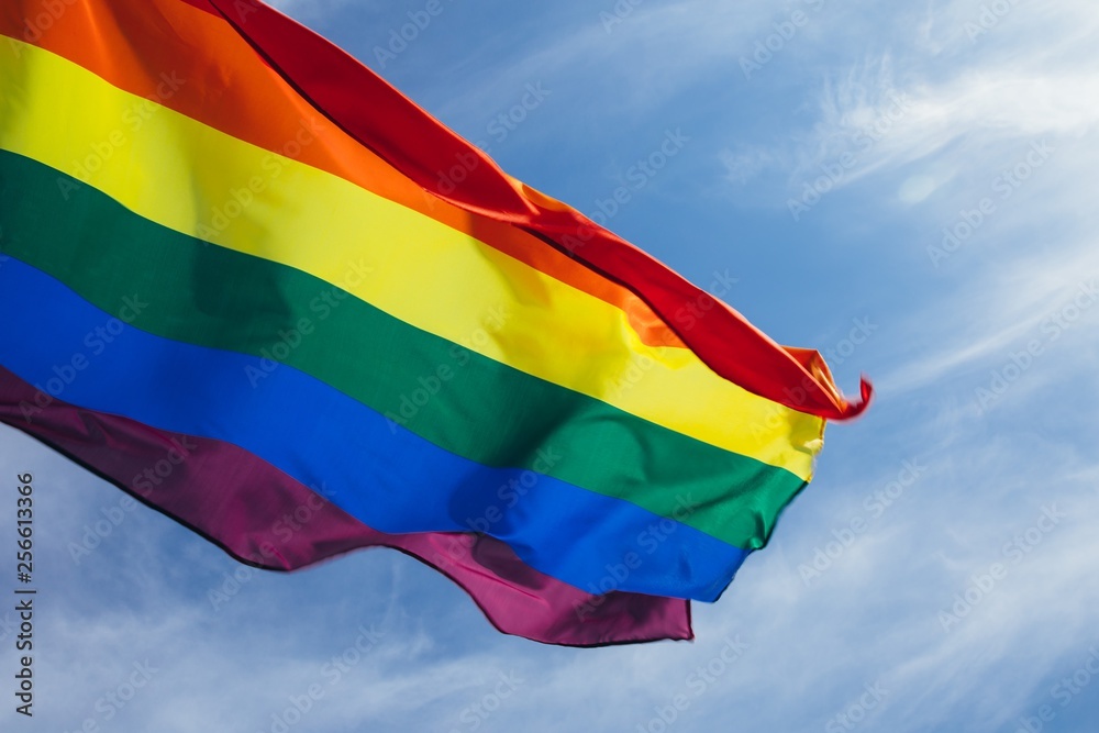 LGBT flag