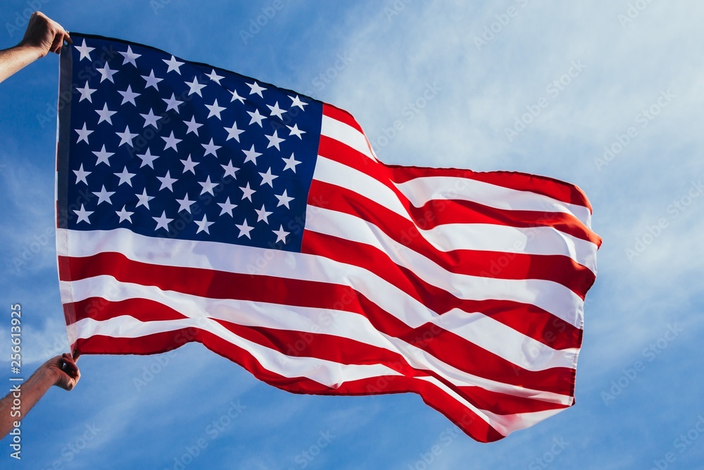 Obraz premium USA flag