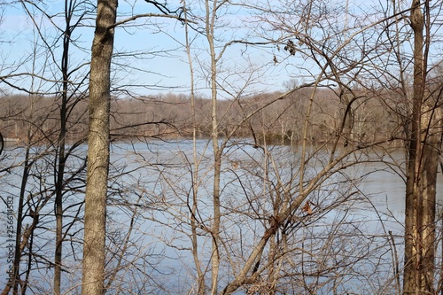 A view of the lake though the bare tree branches. 