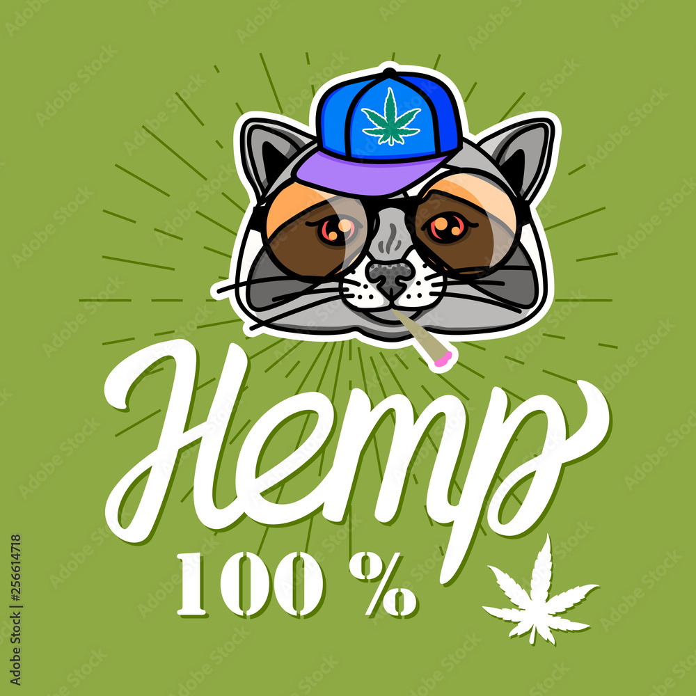 Raccoon boy in cool hip hop style. Vector for print on T-shirts and other souvenir products. Hemp lettering isolated on green background