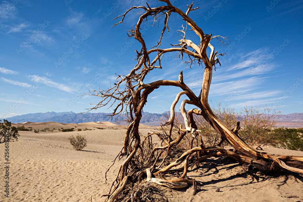 Paisaje del Valle de la Muerte, California.