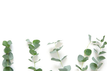 Eucalyptus leaves on white background. Flat lay, top view, copy space