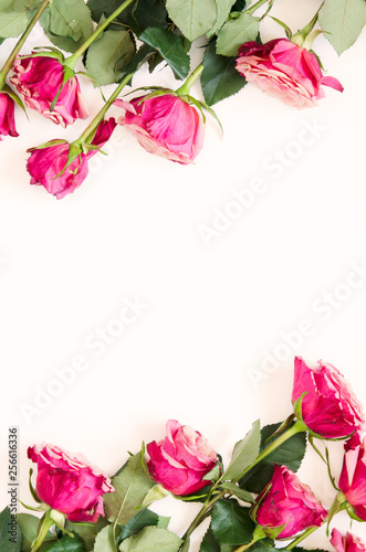 Flowers composition. Frame made of rose flowers on white background. Flat lay, top view, copy space. - Image