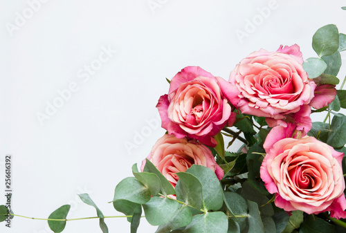 Flowers composition. Roses flowers and branch eucalyptus on white background. Top view  copy space. - Image