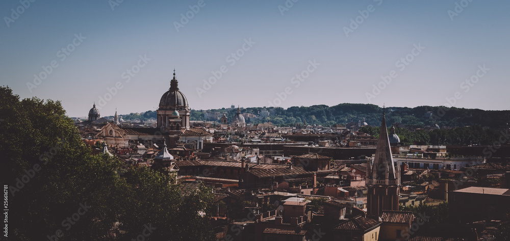 panorama of Rome italy