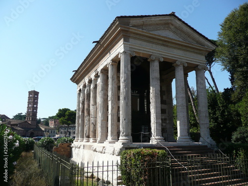 Photography roman forum, rome
