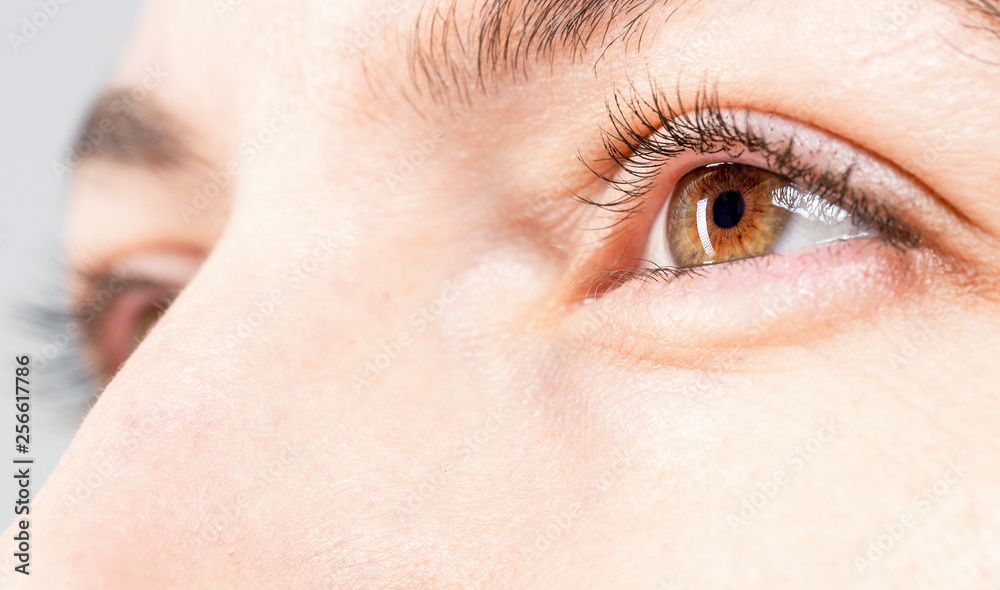 Obraz premium beautiful eyes macro close-up shot 