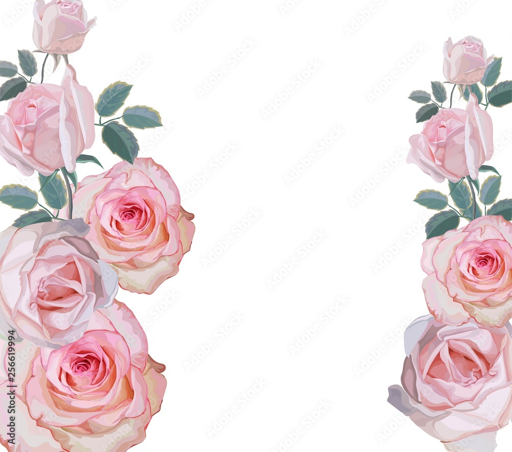Banner with roses vector illustration