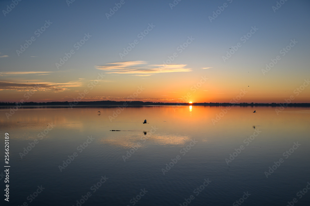 Sunrise on a lake in Florida with a silhouette of an alligator and birds