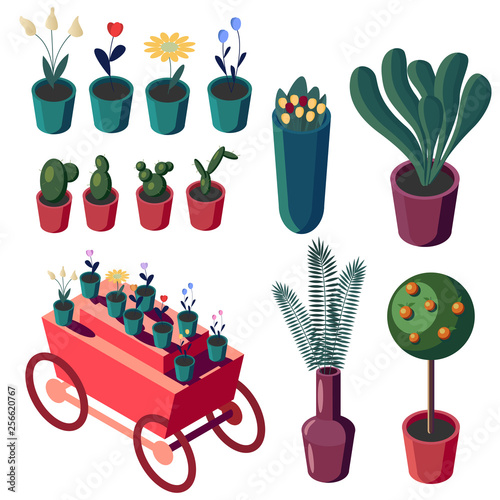 Flower Shop Isometric set vector illustration. Flowers in pots