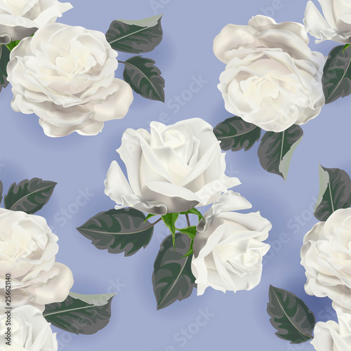 White rose seamless pattern - vector