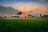 Sunrise at rice fields And the low fog mist that floats low