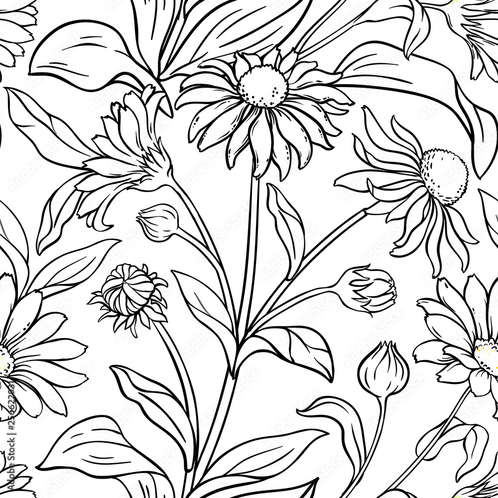 arnica vector pattern arnica vector pattern