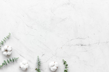 Flowers border with green eucalyptus branches and cotton flowers on white stone background top view space for text.