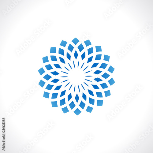 Mandala round ornament vector image