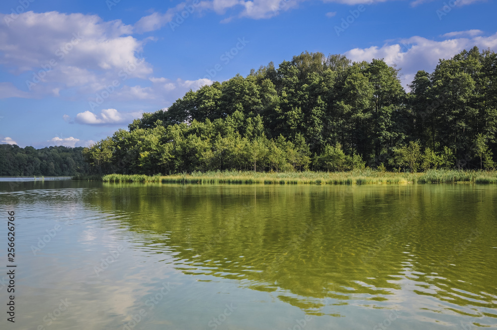 Shore of Lanskie Lake in Olsztyn Lake District, near Lansk village in Warmian-Masurian Voivodeship of Poland