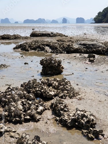 beach by low tide ebb and flow thailand koh yao noi james bond rock island