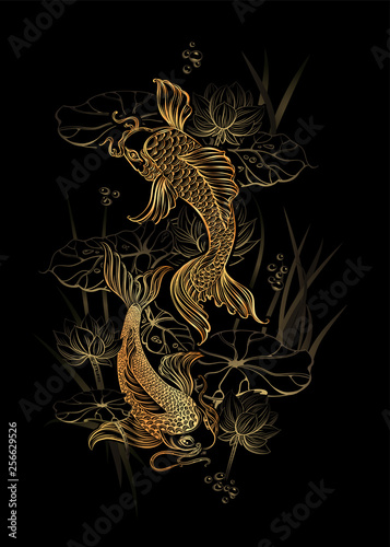 koi carp tatoo