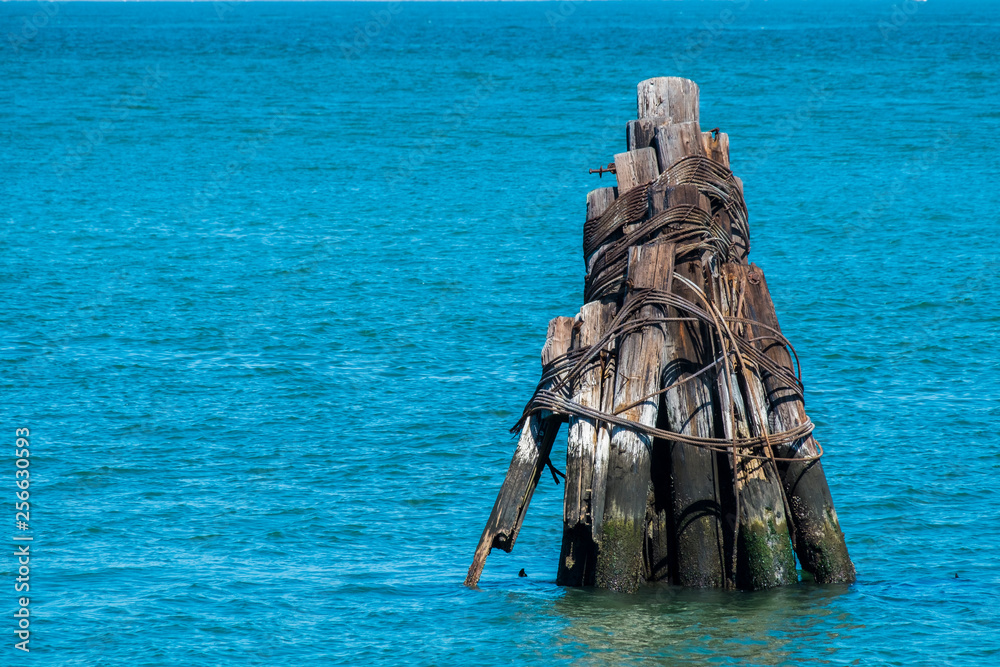 Wooden logs tied together in the sea in bay area of San Francisco Wooden logs tied together in the sea in bay area of San Francisco