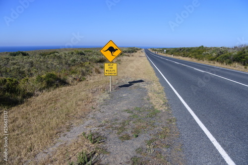 Achtung Kängurus - bei den Twelve Apostles an der Great Ocean Road in Australien