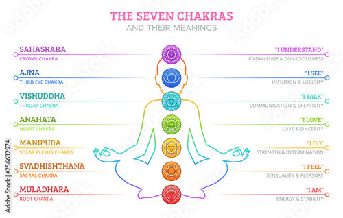 Fototapeta The Seven Chakras and their meanings