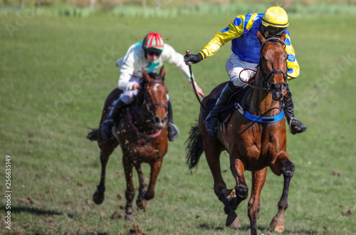 Racing towards the finish line, two race horses and jockeys competing for first place
