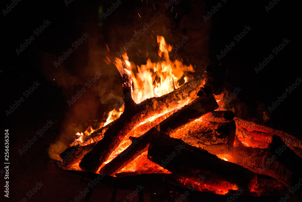 Fototapeta premium Ignite the fire. Warming up the cold winter nights. A macro shot of firewood, white dust and hot, glowing coal. Burning branches and wood. Flames in the fireplace, cozy home, warmth, love, romantic 