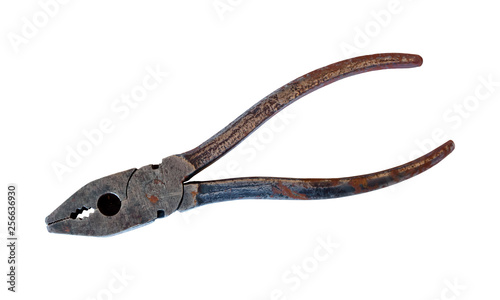 rusty pliers isolated on white background © Evgeny