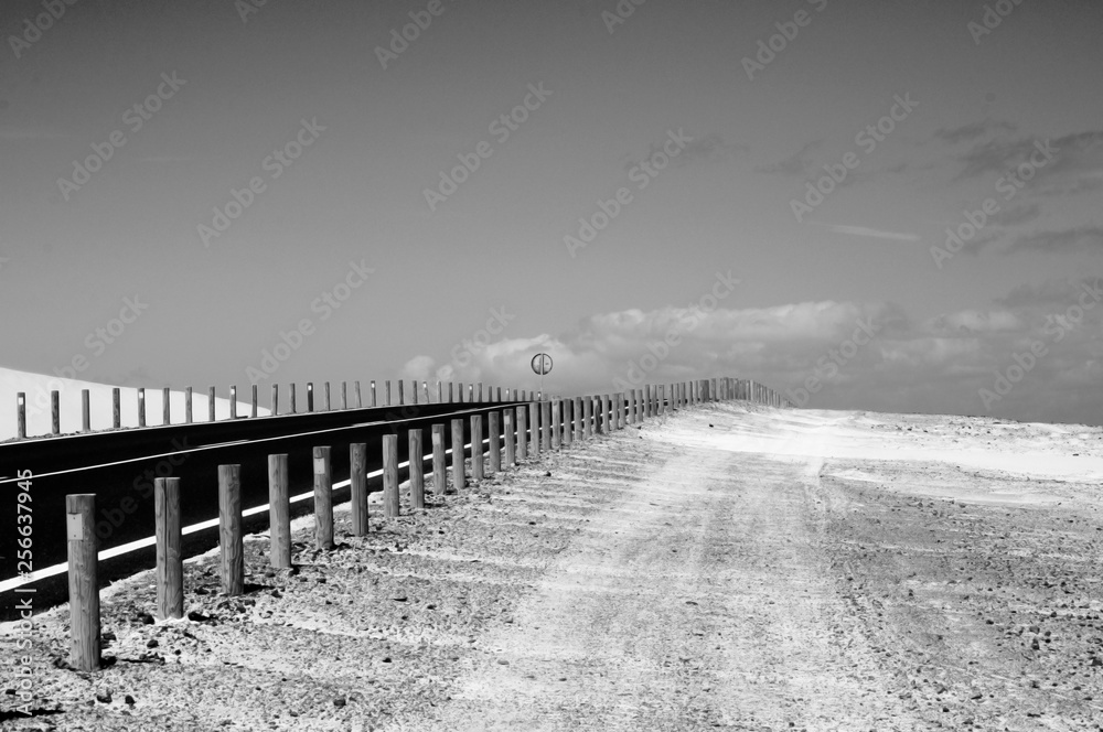 A road going to the horizon with a road sign and pegs on the side. Black and white A road going to the horizon with a road sign and pegs on the side. Black and white