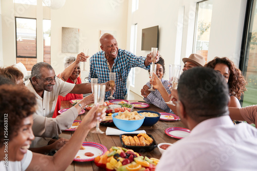 Grandfather making a toast standing at the dinner table celebrating with his family, close up