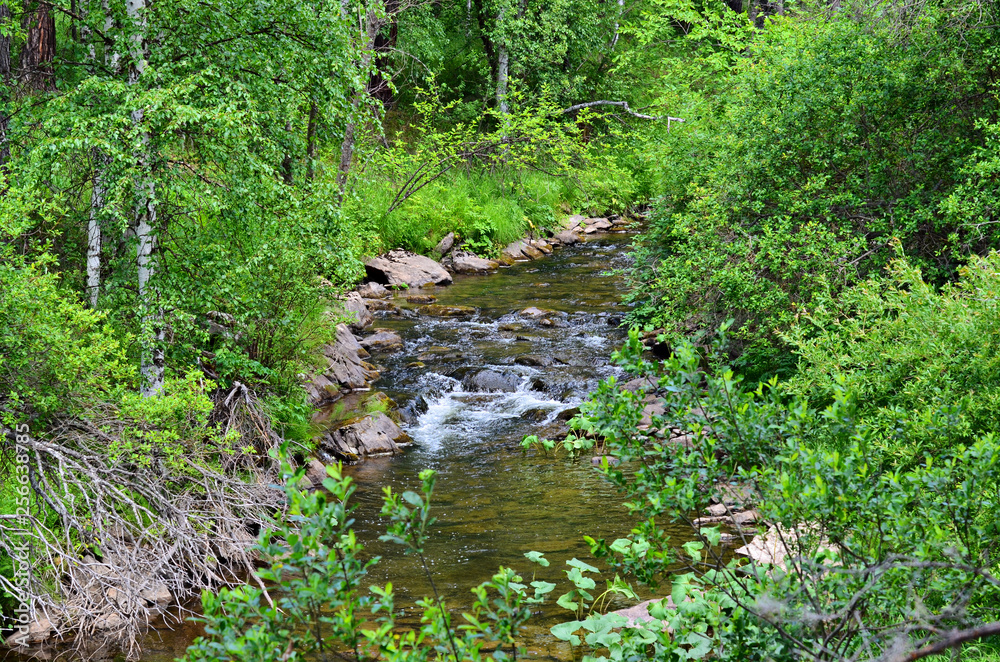 Arsha is one of the small mountain rivers of the southern Urals. Arsha is one of the small mountain rivers of the southern Urals.