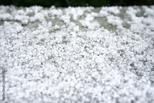 Freezing granulated hail ice crystals, grains in hands after strong hailstorm in autumn, fall. First snow in early winter. Cold weather. 