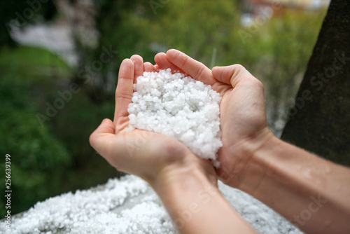 Holding freezing granulated hail ice crystals, grains in hands after strong hailstorm in autumn, fall. First snow in early winter. Cold weather. 