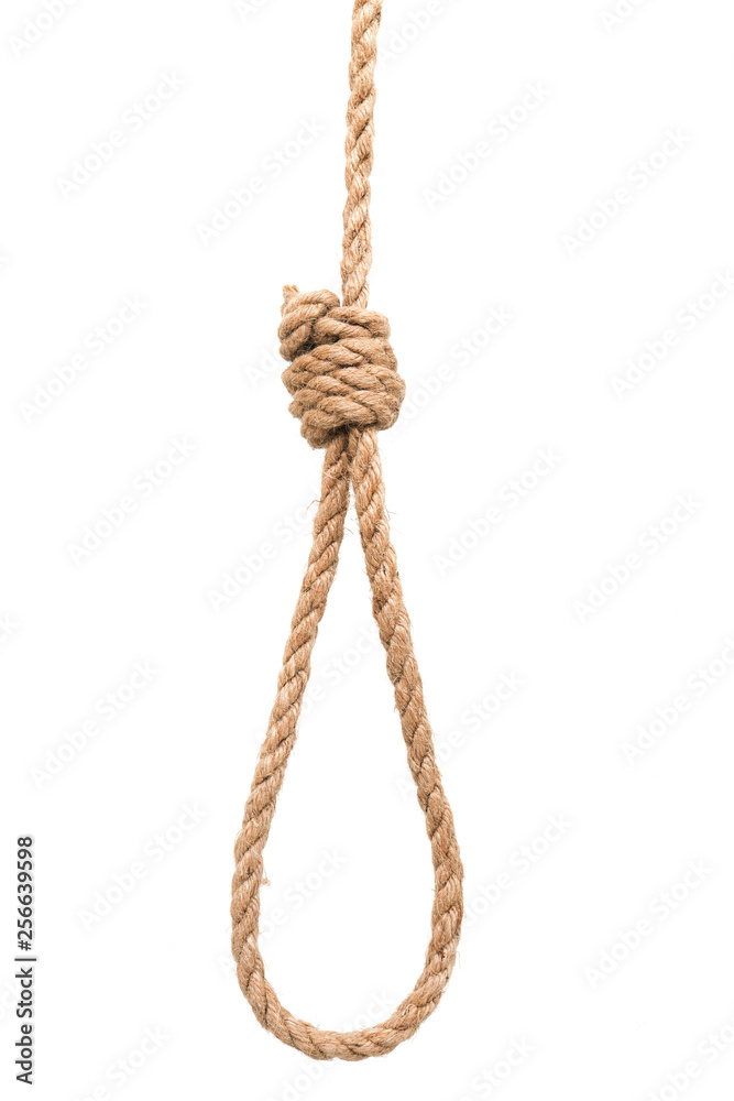 Gallows hanging rope knot tied noose white isolated Stock Photo | Adobe  Stock