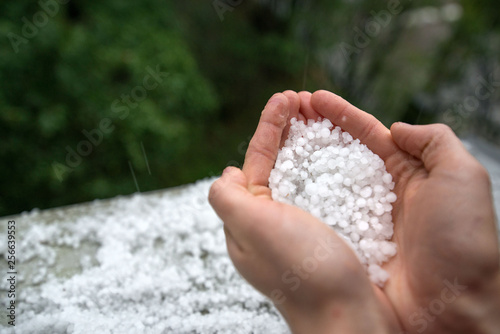 Holding freezing granulated hail ice crystals, grains in hands after strong hailstorm in autumn, fall. First snow in early winter. Cold weather. 