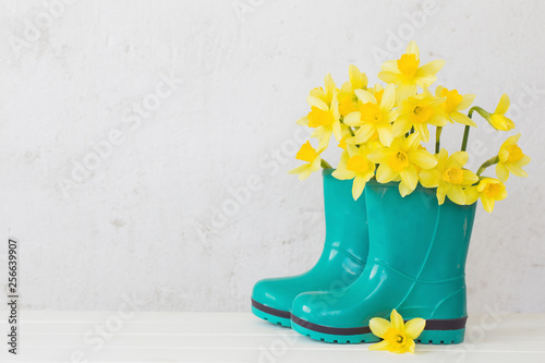 rubber boots and spring flowers on white background