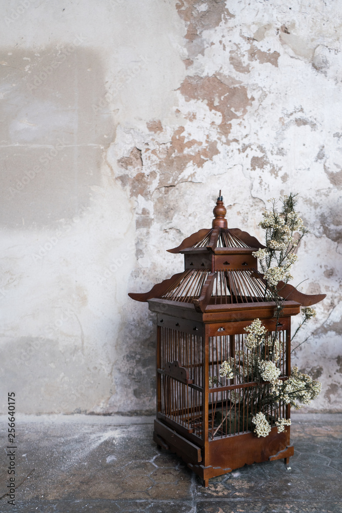 Chinese old wooden bird cage, used as decoration with flower inside, on the  floor and cement wall background Stock Photo | Adobe Stock