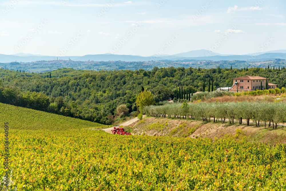 Toskanalandschaft während der Weinernte in der Gebiet des Weingutes Colaini im Chiantigebiet