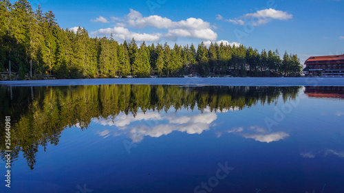 Fototapeta Naklejka Na Ścianę i Meble -  forest mirror in lake blue sky with clouds