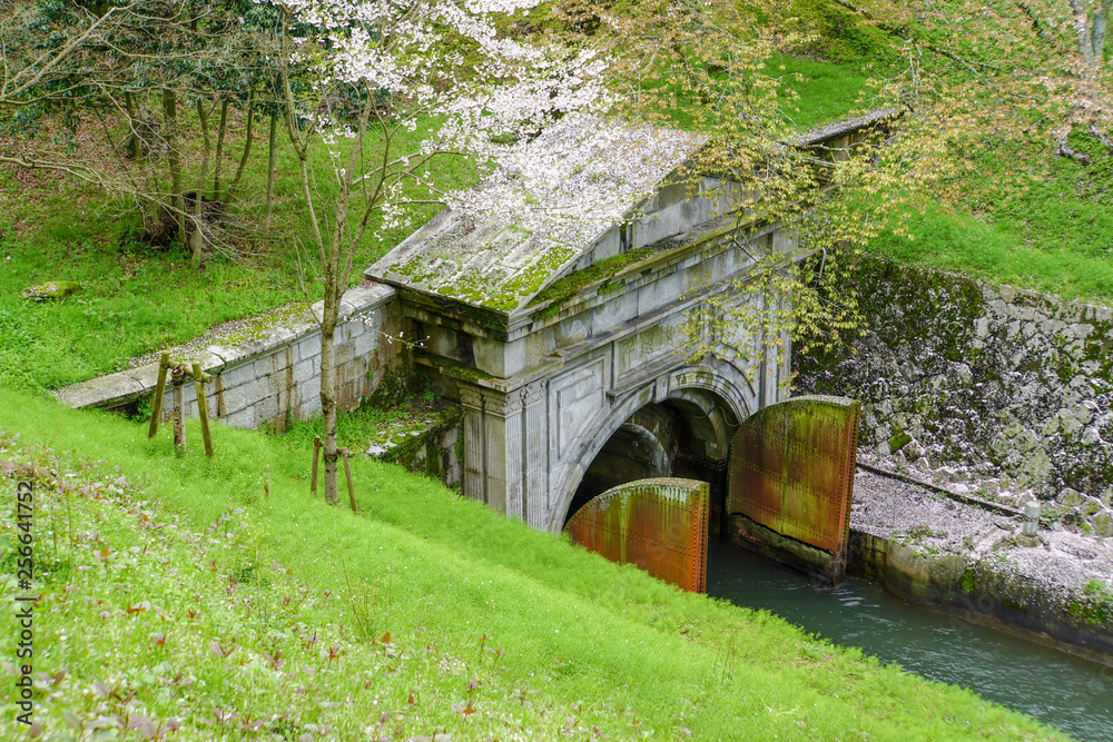 琵琶湖疏水 琵琶湖疏水