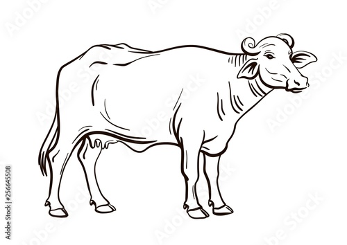 black and white figure of a stylized buffalo