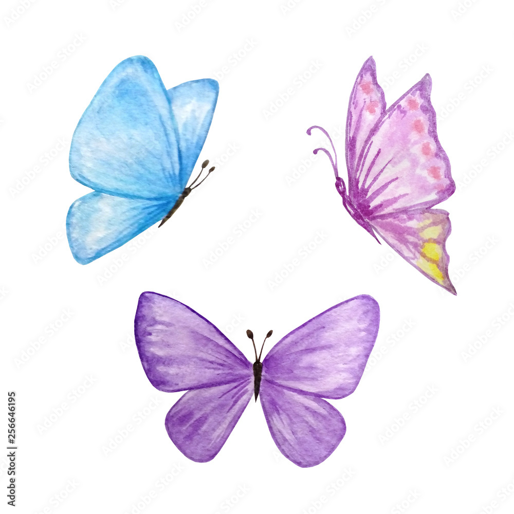 three watercolor butterflies three watercolor butterflies