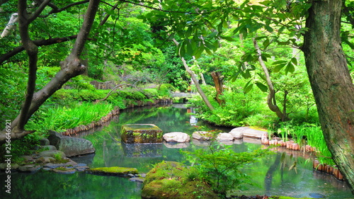 Nezu museum garden in Tokyo 