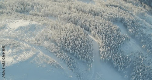 Wallpaper Mural Aerial drone view snowy mountains over white trees in winter  Torontodigital.ca