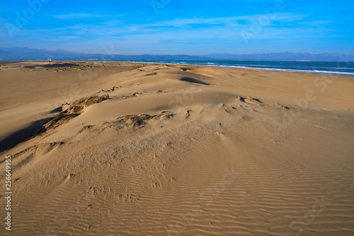 Delta del Ebro beach Punta del Fangar